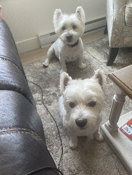 Isla & Hamish