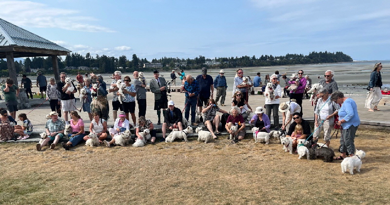 Nanaimo Westie Walk Nanaimo Westie Walk