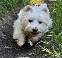 Lucy 1. Picture1
