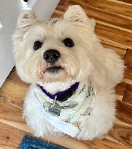 Lucy4