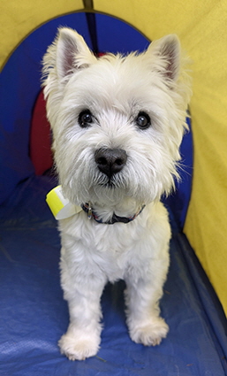 PXL_20250601_173230712