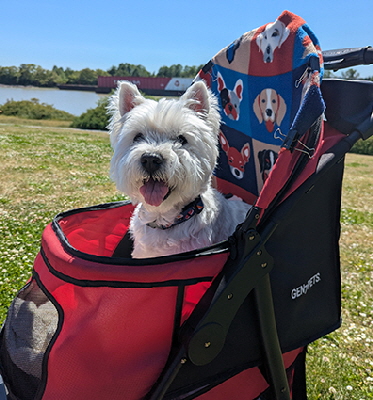 PXL_20250608_220411078