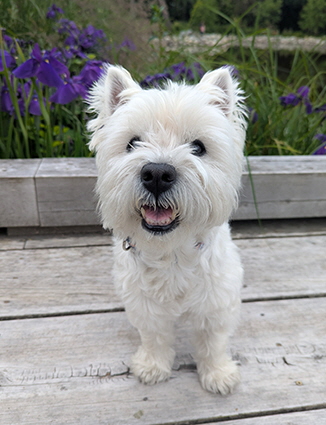 PXL_20250622_230449836