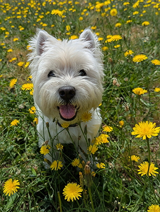 PXL_20250702_204414296