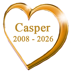 Casper Heart