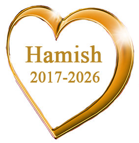 Hamishheart