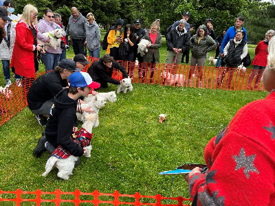 A Tribute to Snowy27