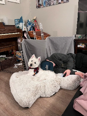 A Tribute to Snowy29