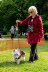 Westie_Walk_2025-11-Enhanced-NR