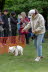 Westie_Walk_2025-119
