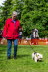 Westie_Walk_2025-128