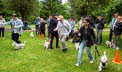 Westie_Walk_2025-217-Enhanced-NR