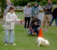 Westie_Walk_2025-224-Enhanced-NR