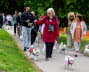Westie_Walk_2025-45-Enhanced-NR