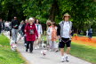 Westie_Walk_2025-46-Enhanced-NR