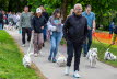 Westie_Walk_2025-48-Enhanced-NR