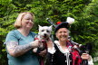 Westie_Walk_2025-58-Enhanced-NR