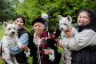 Westie_Walk_2025-87
